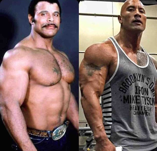 the rock and his dad