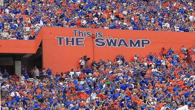 Florida-The-Swamp-Kim-Klement
